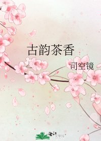 古韵茶香